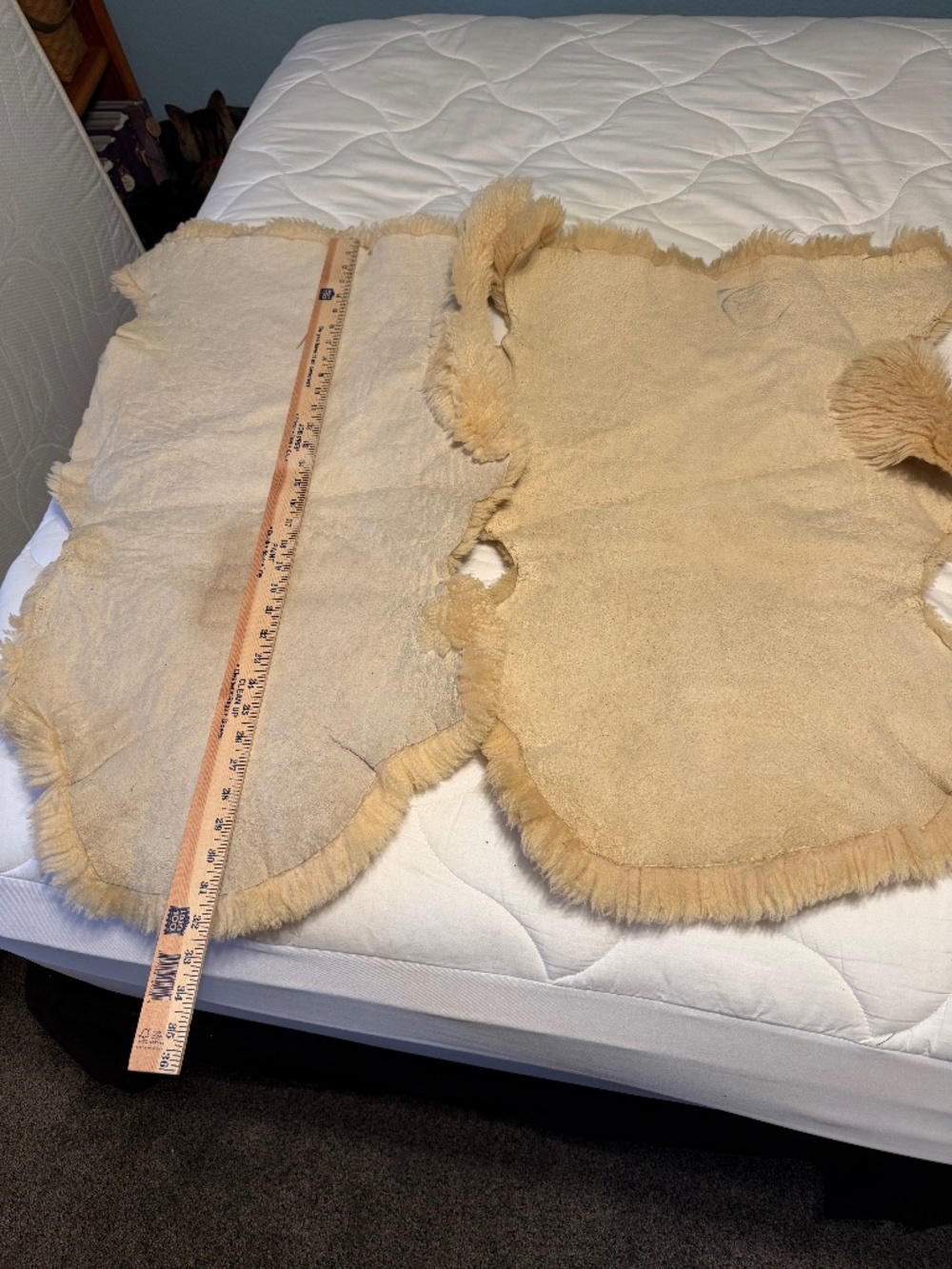 2 Baby Sheepskin Rugs - from New Zealand - Picture 2 of 5